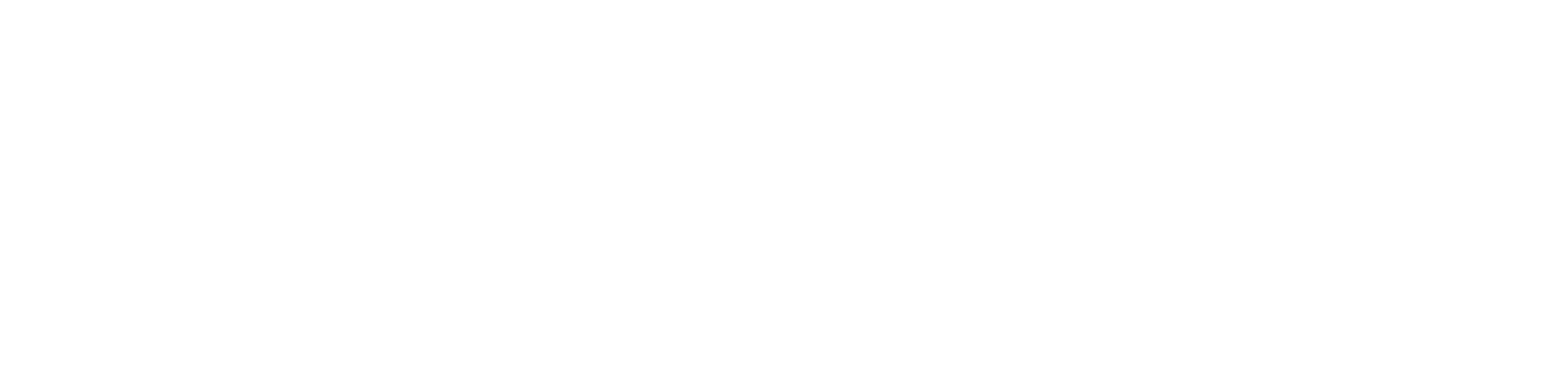 Powder Ski Academy
